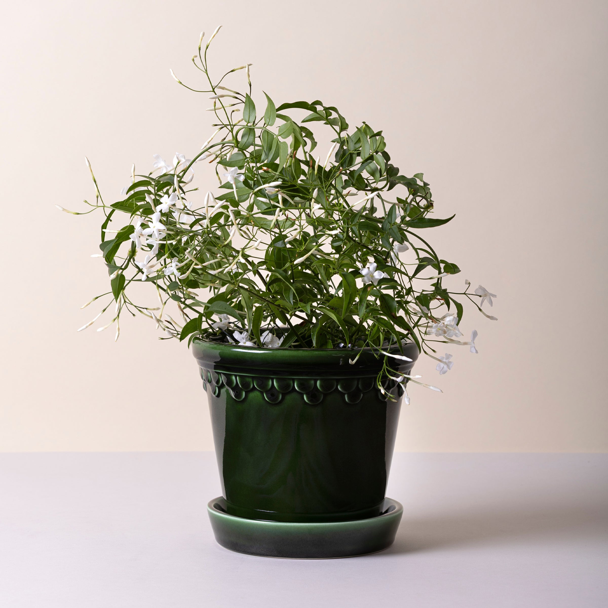 Kobenhavner Glazed Emerald Green 16cm Pot with Saucer - Image 6